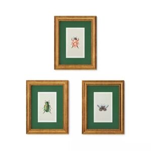 Rifle & Co. Foil Insect Prints